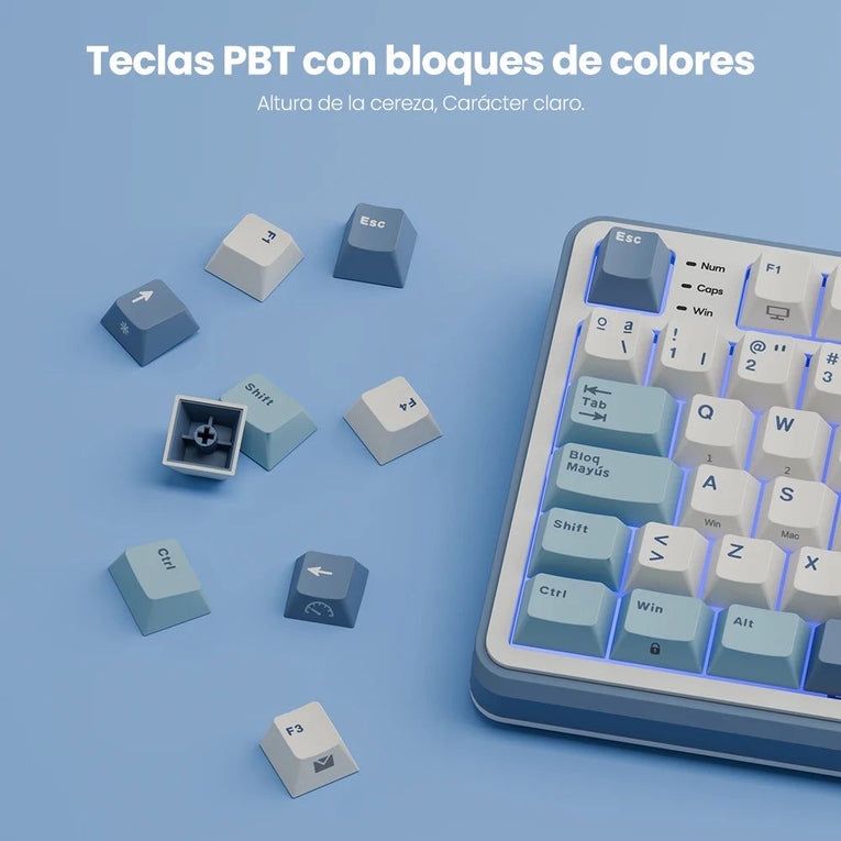 ‌Teclado Mecánico RK ROYAL KLUDGE S98 Gaming 98 Teclas RGB Backlit - Top Mount, Pantalla TFT, Inalámbrico BT5.0/2.4G/USB-C + Hot Swappable