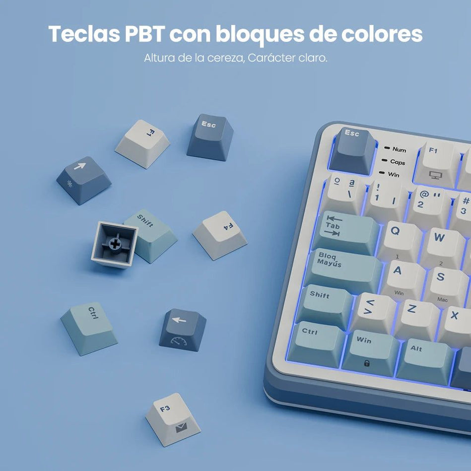 ‌Teclado Mecánico RK ROYAL KLUDGE S98 Gaming 98 Teclas RGB Backlit - Top Mount, Pantalla TFT, Inalámbrico BT5.0/2.4G/USB-C + Hot Swappable